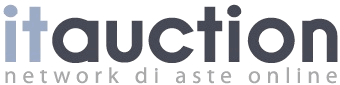 it auction logo