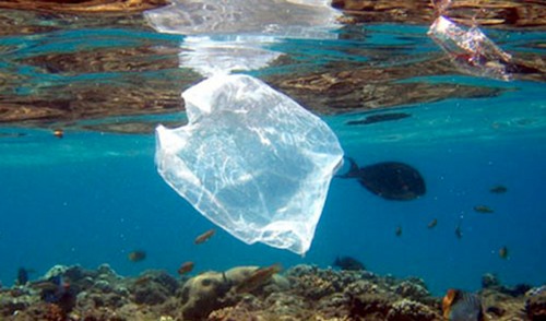 marine litter
