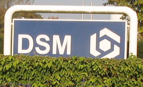 dsm 
