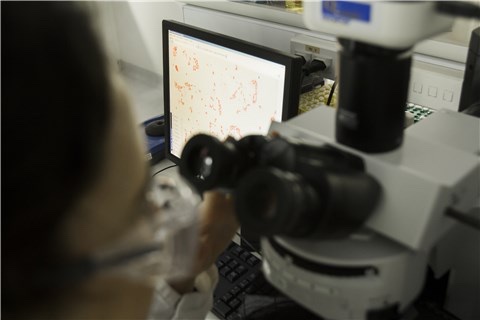 ricerca