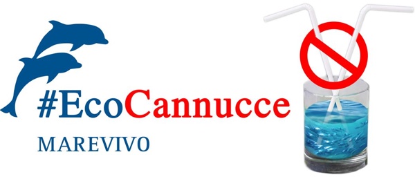mare vivo contro cannucce