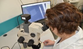 enea ricerca brindisi