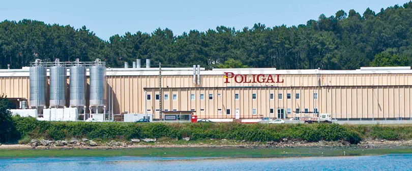 Poligal Naron