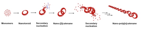 nano-poli[n]catenani tramite auto-assemblaggio 