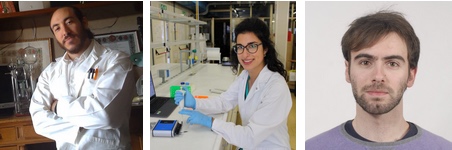 Premio SCI Elsevier