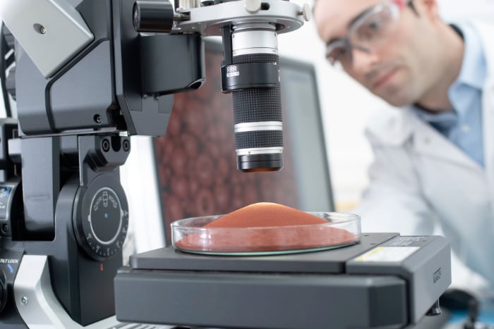 Lanxess laboratorio pigmenti