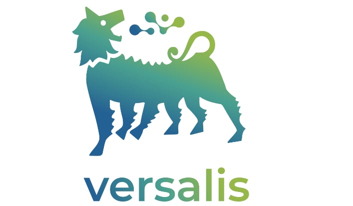 logo versalis 
