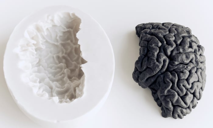 elmec 3d cervello stampa 3D