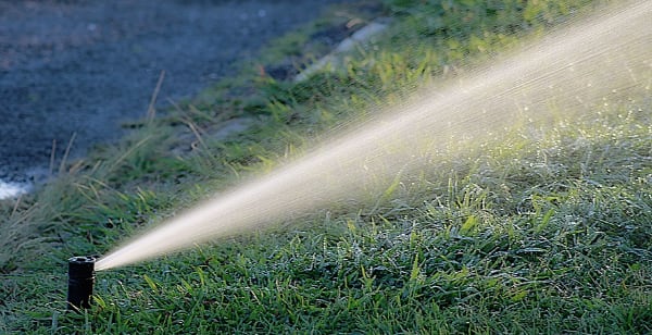 irrigazione foto_Pixabay