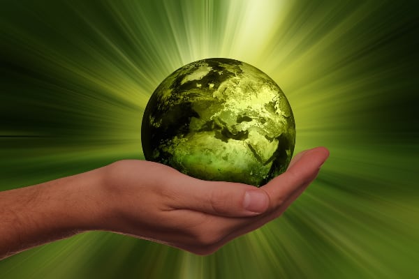 sustainability foto:pixabay