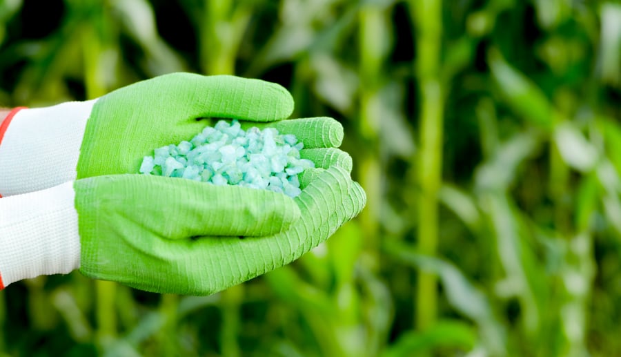biobased generico foto:envato con licenza