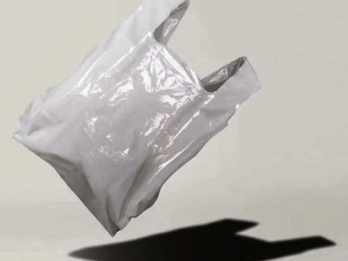 sacchetti spesa