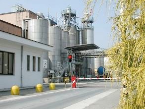Dow Parona, Pavia