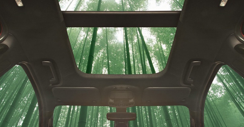 Ford bambù auto