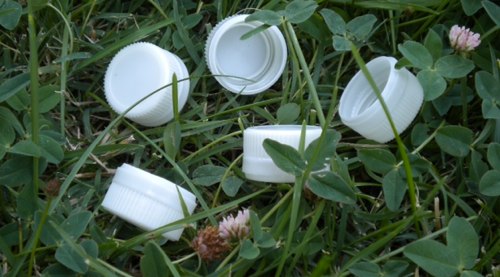 capsule in apinat bio