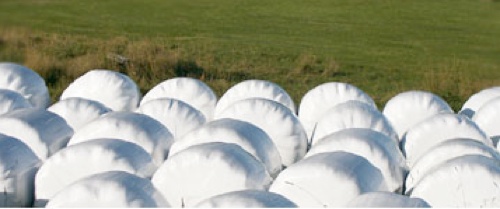 film agricolo