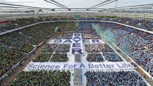 bayer150 big
