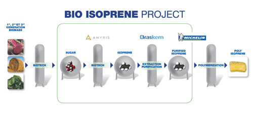 bioisoprene project