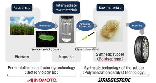Fonte: Bridgestone