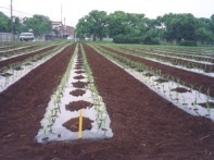 film agricoli in Bionolle Starcla