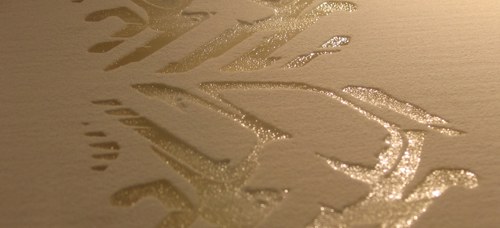 bayer_tpu_sls