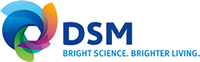 Nuovo Logo DSM