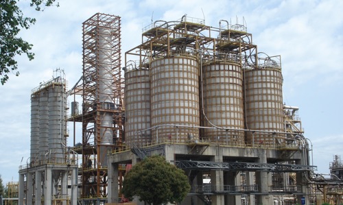 simpe acerra big