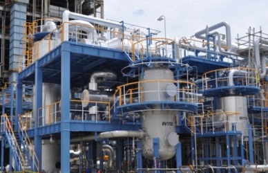 2showadenko plant002